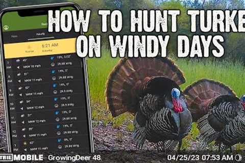 How to hunt turkey on a windy day - Trail Camera Tips