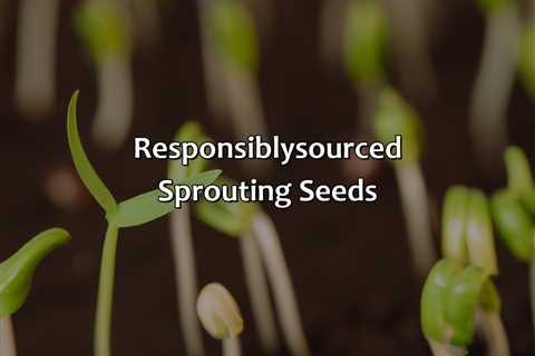 Responsibly-Sourced Sprouting Seeds