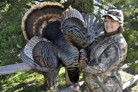 Bowhunting Turkeys with “Mr. Turkey, Eddie Salter