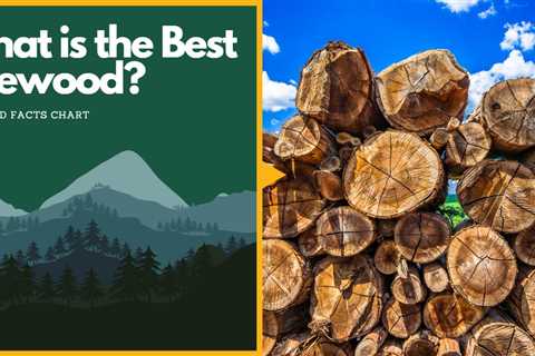 What Is The Best Firewood? Firewood Facts Chart