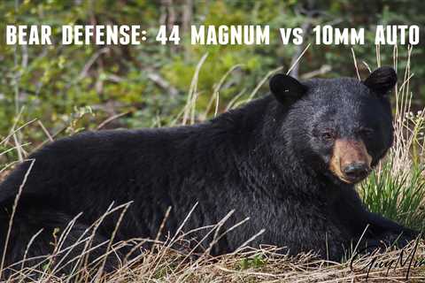 BEAR DEFENSE: 44 Mag vs 10mm Auto (Which is Better?)