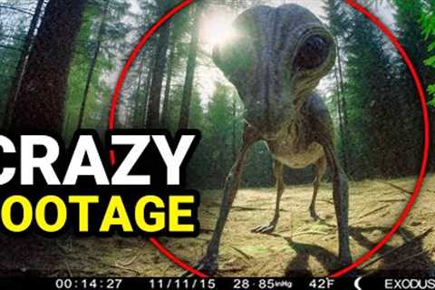 Mega Compilation Of The Most Recent Disturbing Trail Cam Footage