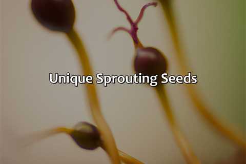 Unique Sprouting Seeds