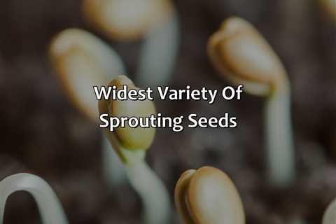 Widest Variety Of Sprouting Seeds