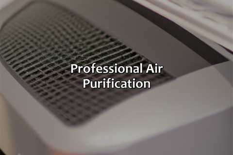 Professional Air Purification