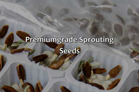 Premium-Grade Sprouting Seeds