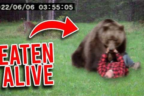 Trail Cam Captures SHOCKING Bear Attack In Real Time