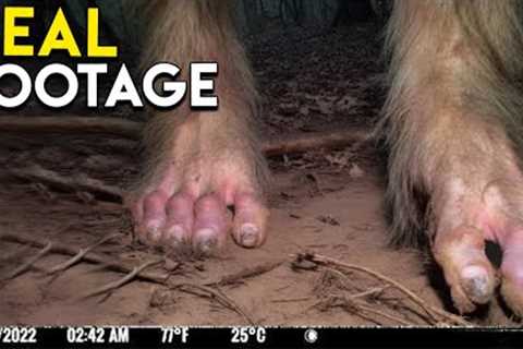 Chilling Trail Cam Footage That Will Haunt You