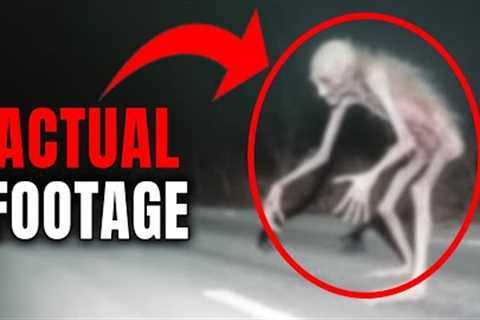 Unbelievable Encounter Caught on Trail Cam: You''ll Never Believe What Happened Next!