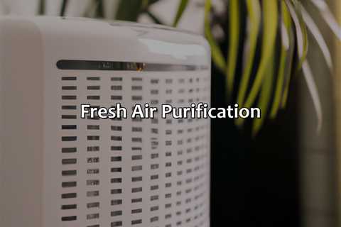 Fresh Air Purification