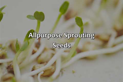 All-Purpose Sprouting Seeds