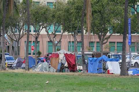 How Many Unsheltered Homeless Individuals are in Honolulu?