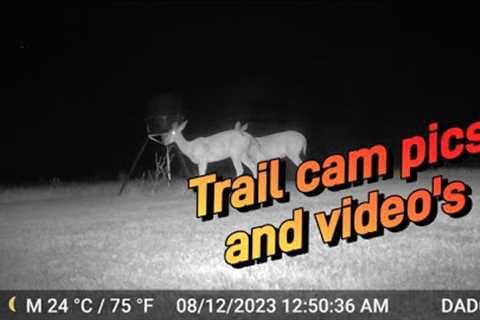 Deer trail camera, second throw and grow food plot #hunting #trailcam #deerhunting