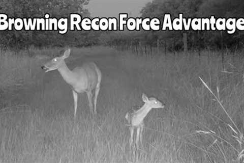 Browning Recon Force Advantage Trail Camera June 3-July 2, 2023