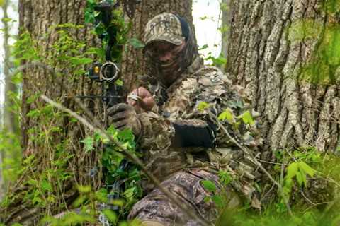 Bowhunting Gobblers Without A Blind