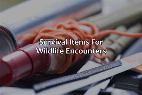 Survival Items For Wildlife Encounters