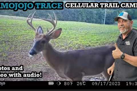 CAMOJOJO TRACE CELLULAR TRAIL CAMERA . VIDEO WITH AUDIO!!!!!!! Piney Life.