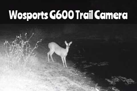 Wosports G600 Trail Camera: Aug. 21- Sept. 13, 2023