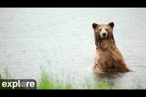 River Watch - Katmai National Park, Alaska powered by EXPLORE.org