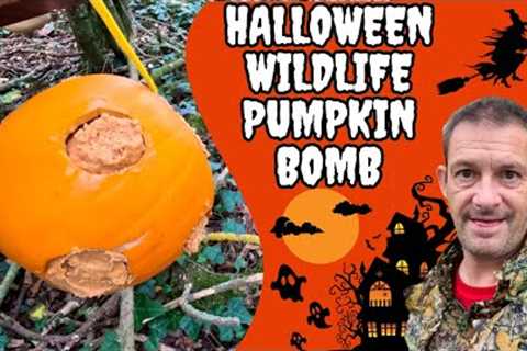 Making A Halloween Pumpkin Bomb & Wildville Party Aftermath