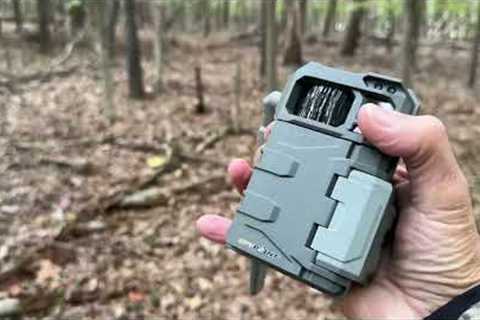 Hanging the new SpyPoint LM2 trail camera