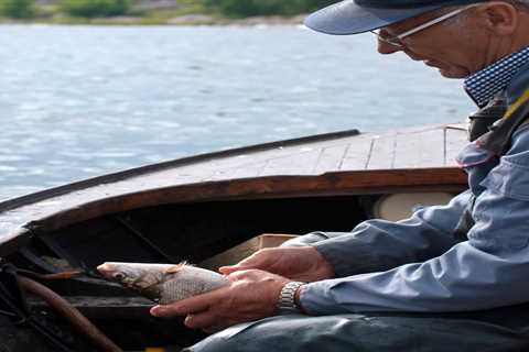 So, Can You Eat Ladyfish for Survival?