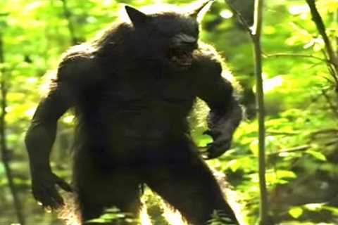 Terrifying Trail Cam Footage That Left People Speechless