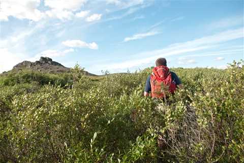 Bear Grylls Can Find Food Anywhere, Even in the Arctic