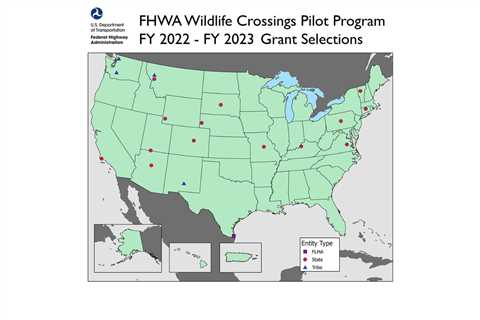 The Federal Government Aims to Save Lives by Issuing Grants for Wildlife Crossings