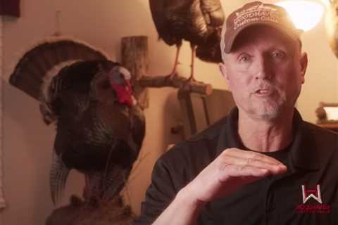 Turkey Calling Tips From The Best