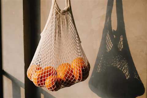 7 Best Mylar Bag Food Preservation Methods
