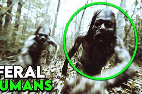 First Encounter: Creatures Spotted on Trail Cam Footage