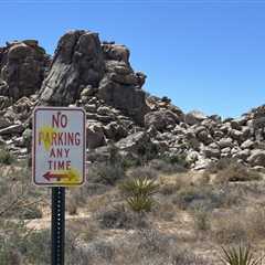 Foreign Tourists Busted for Vandalism at Joshua Tree National Park