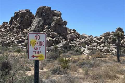 Foreign Tourists Busted for Vandalism at Joshua Tree National Park