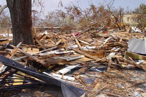 Tropical Cyclone Aftermath: Post-Storm Survivor Strategy