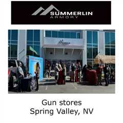 Gun stores Spring Valley, NV