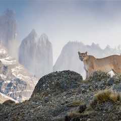 See Stunning Photos Competing for a People’s Choice Award