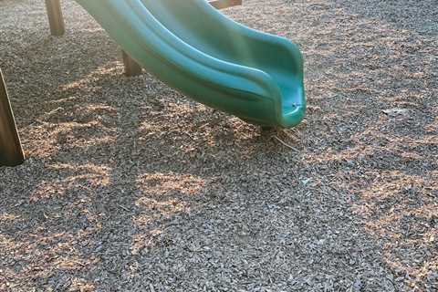 ‘I Ssspy With My Little Eye’: Spot the Rattlesnake at the Playground