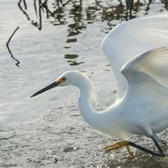 Woman Is Suing SeaWorld After Being Struck In The Face By A Bird