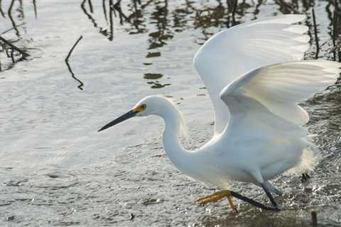Woman Is Suing SeaWorld After Being Struck In The Face By A Bird
